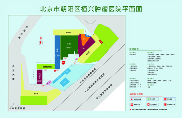 美女和男人靠逼视频软件下载北京市朝阳区桓兴肿瘤医院平面图